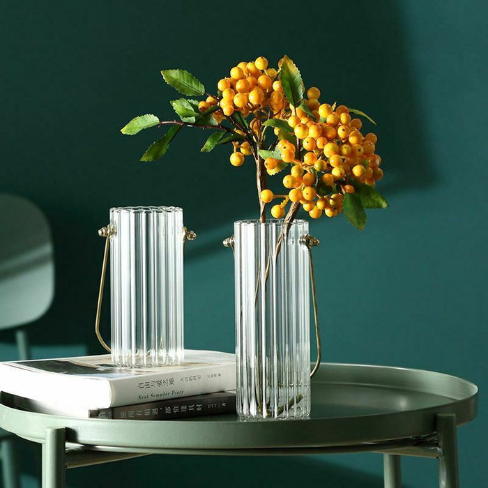 Set Of 2 Clear Glass Flower Vase Decorative Cylinder Bud Vases With Metal Handle