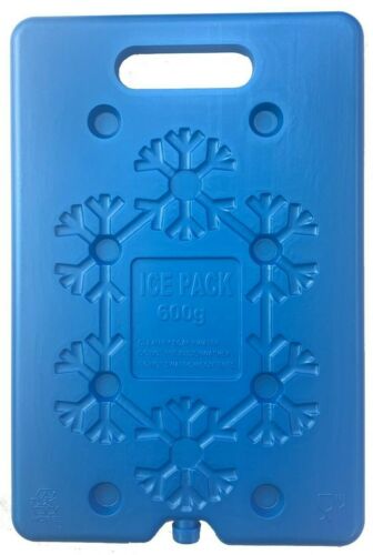 4 Large Freezer Ice Pack Reusable Plastic Ice Brick Block For Cooler Bag 600ml