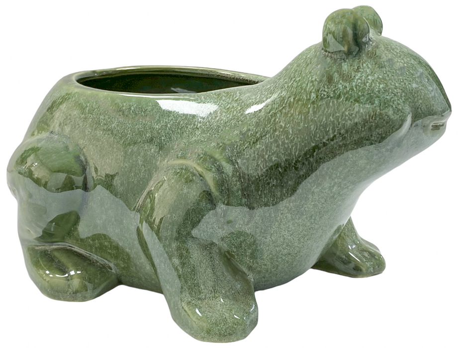 Frog Flower Pot Plant Pot Ceramic Animal Shape Planter Home Garden Ornament