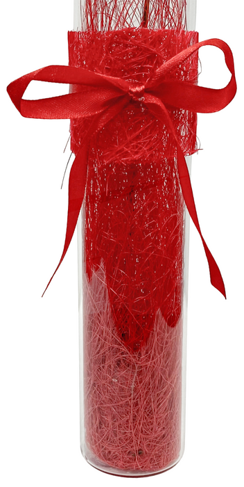 Ritzenhoff & Breker Red Rose Tall Artificial Rose Flower Acrylic Vase 40cm