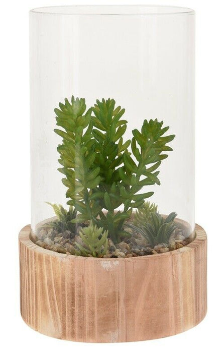 Decorative Artificial Exotic Plants In Bell Jar With Wood Terrarium Plant