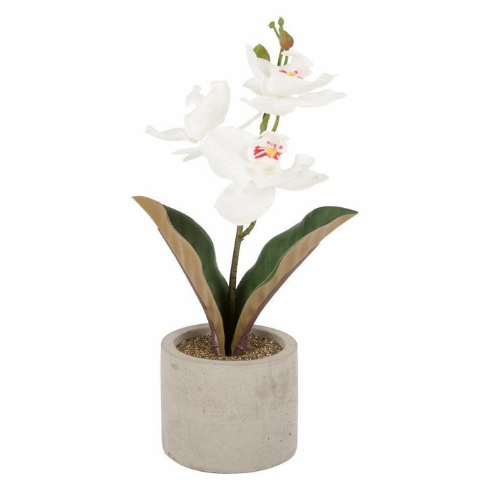 Artificial White Orchid In Grey Pot Ideal Gift 30cm Artificial Orchid Decorative