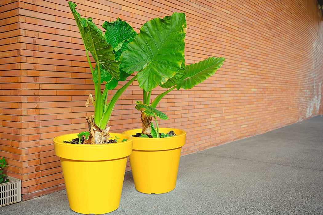 Rammento 47.5cm ⌀ Large Plant Pot Indoor/Outdoor, Yellow, 43cm Tall
