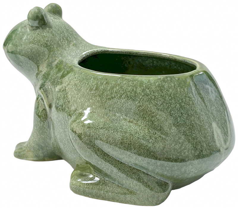 Frog Flower Pot Plant Pot Ceramic Animal Shape Planter Home Garden Ornament