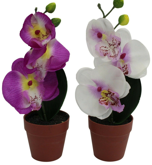 Set of 2 Mini Plants Artificial Orchid Plant In White & Purple Plants