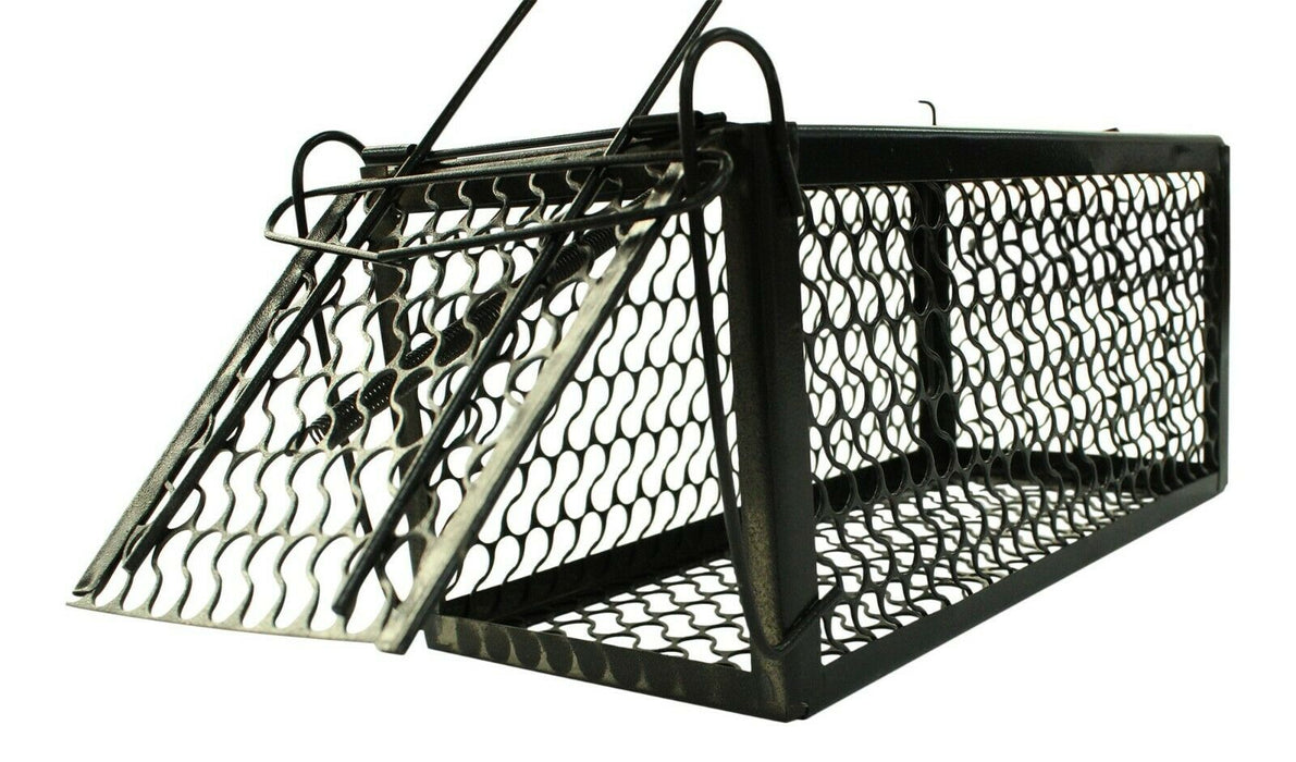Rammento 24cm Humane Rat Trap, Black | Metal Spring Loaded Bait Box for Rodents