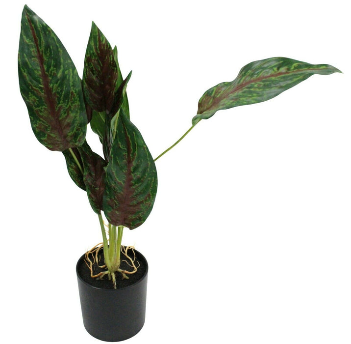 48cm Artificial Aglaonema Artificial Potted Plant Fake Plant