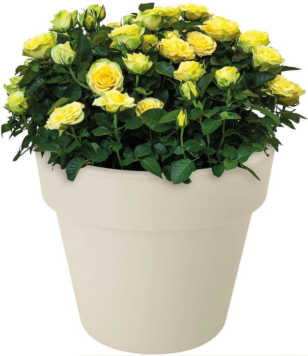 Medium 30cm Round Planter Plastic Plant Pot Cotton White 10 Litre Double Walled