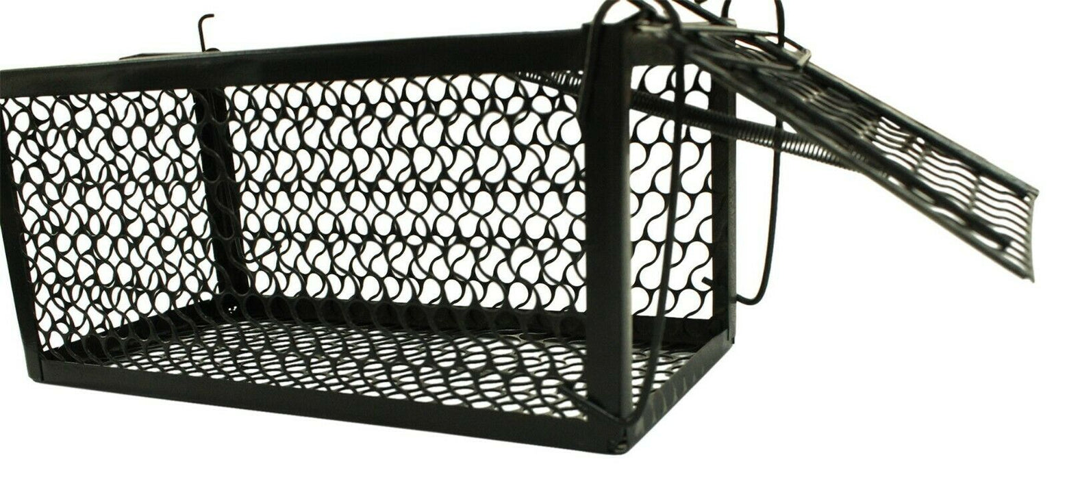 Rammento 24cm Humane Rat Trap, Black | Metal Spring Loaded Bait Box for Rodents