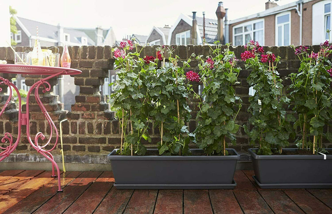Elho 60cm Large Grey Trough Planter Flower Pots Plant Pot 20 Litre Capacity
