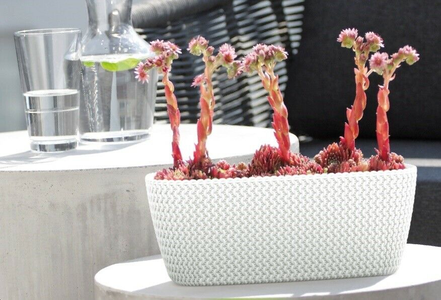 Rammento 39.5cm Rattan-Effect Rectangular Trough, Anthracite 7L Plastic Planter