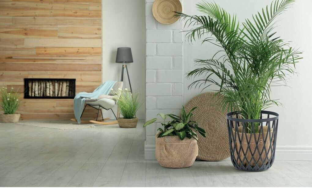 Multifunction Storage / Planter Set, 4 Stools & 1 Table | Grey Plastic Baskets
