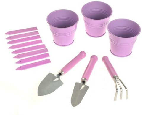 Home Growing Planting Kit Herb Planting 3 Pots Miniature Tools Nursery Pot Lilac